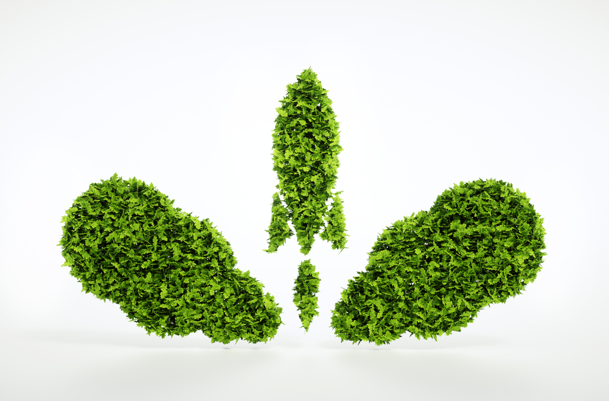 分支機(jī)構(gòu)注銷要不要清算申報？
